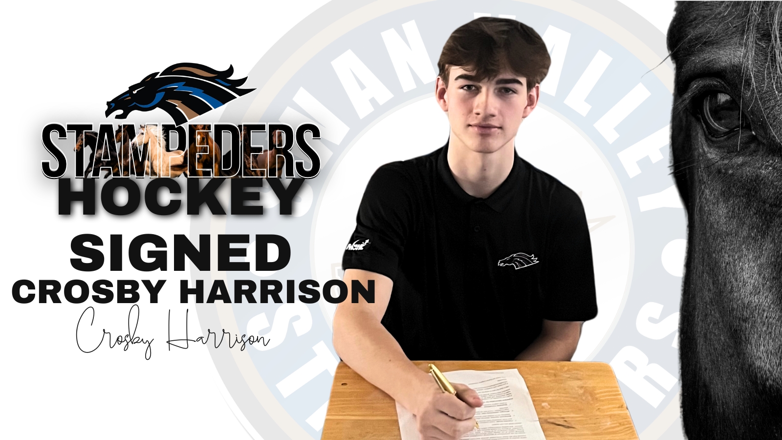 Stampeders Sign 2008 Born Forward Crosby Harrison
